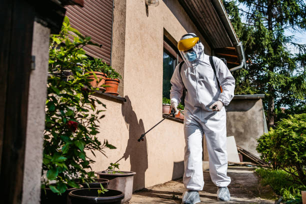 Best Mosquito Control Services  in Eastwood, MI
