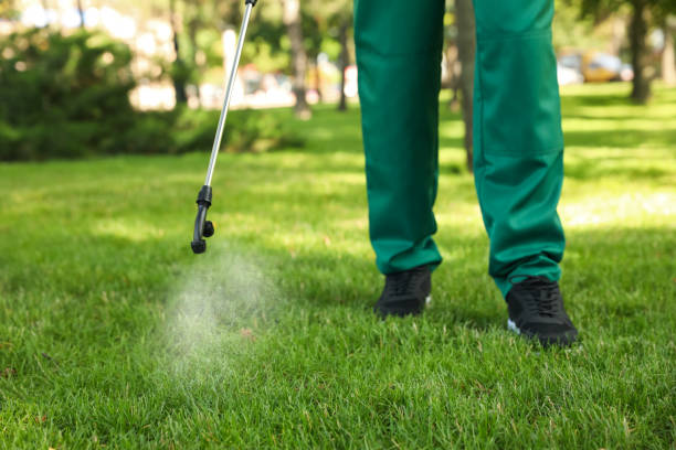 Best Best Pest Control Companies  in Eastwood, MI