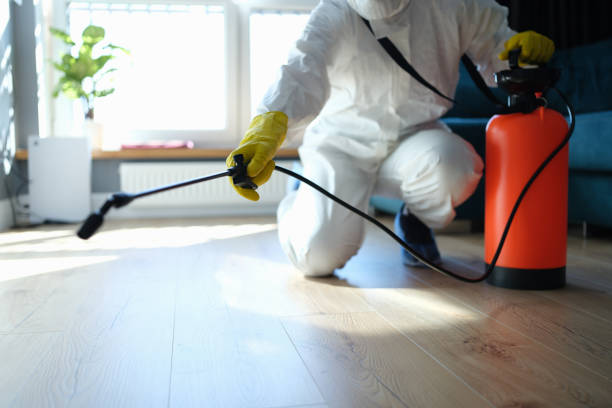 Best Wasp Removal Services  in Eastwood, MI