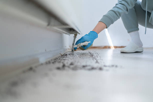  Eastwood, MI Pest Control Pros