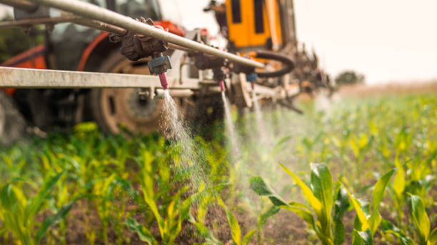 Best Pest Removal Services  in Eastwood, MI