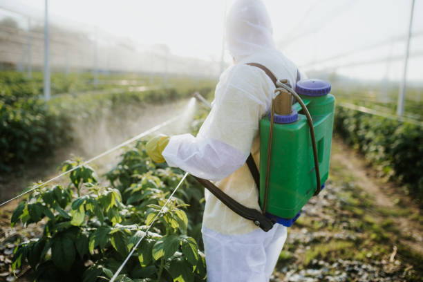 Best Wasp Removal Services  in Eastwood, MI